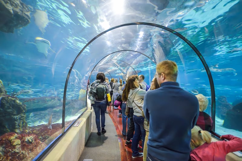 Aquarium Tunnel In Laquarium Barcelona